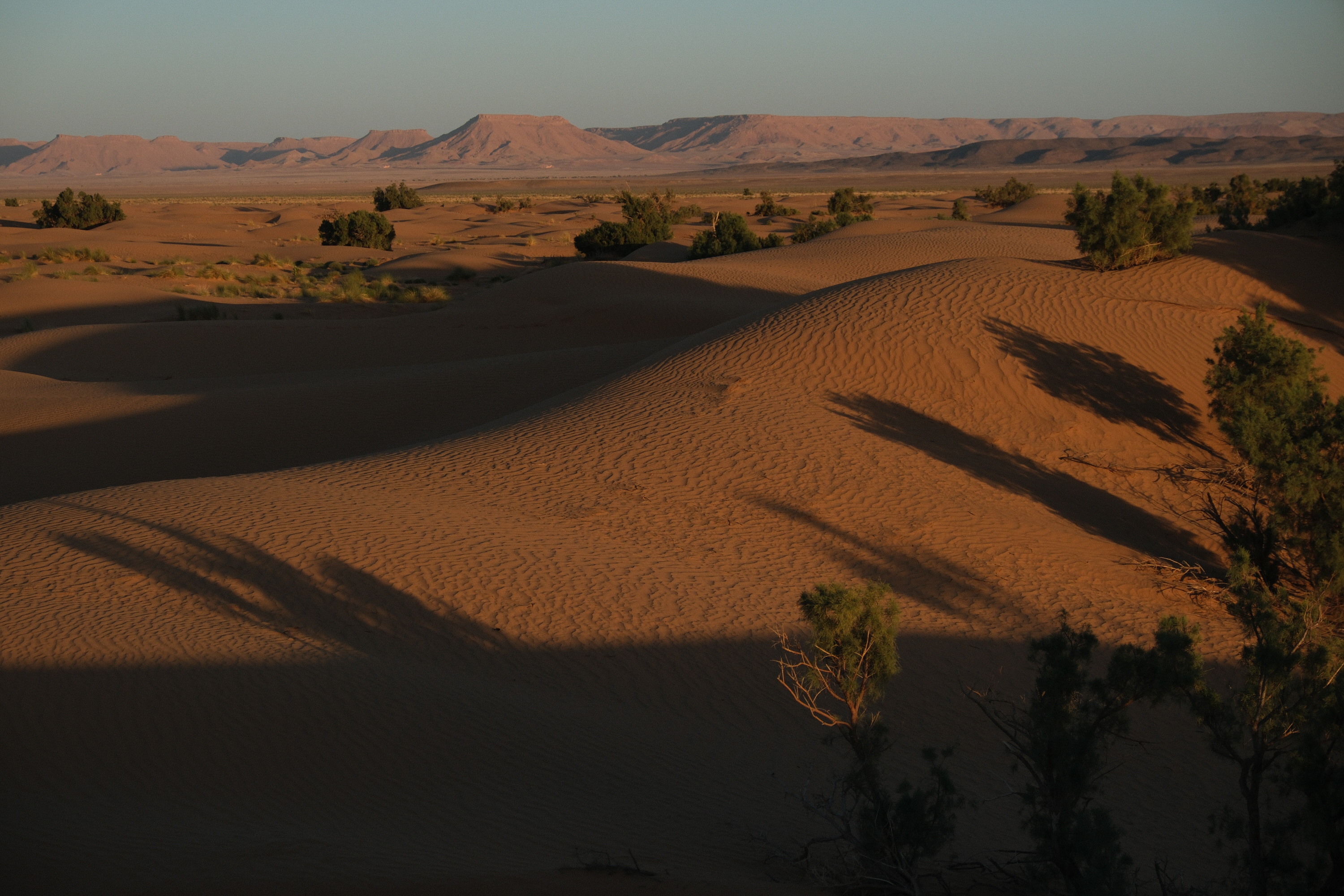 Golden dunes at sunset with mountains in the distance