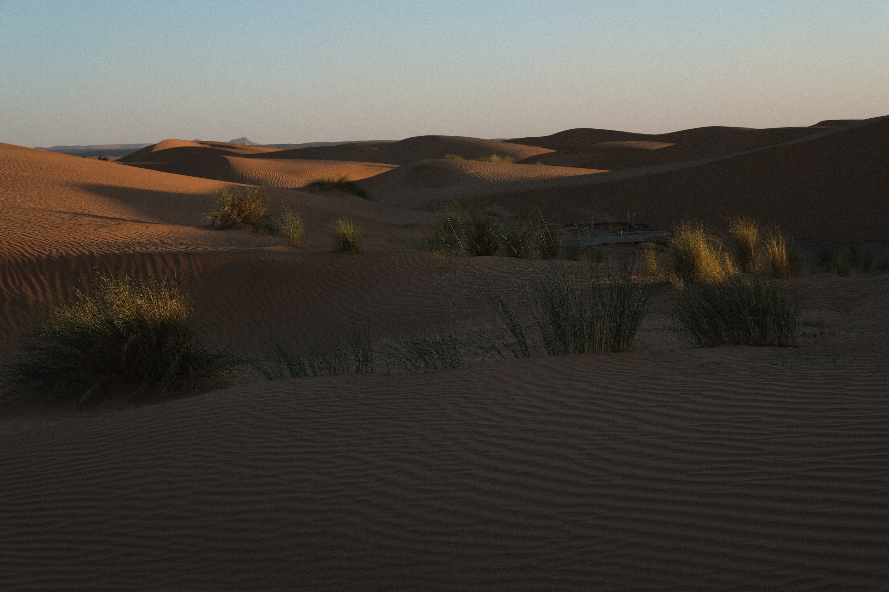 Wind-sculpted sand ripples stretching to the horizon