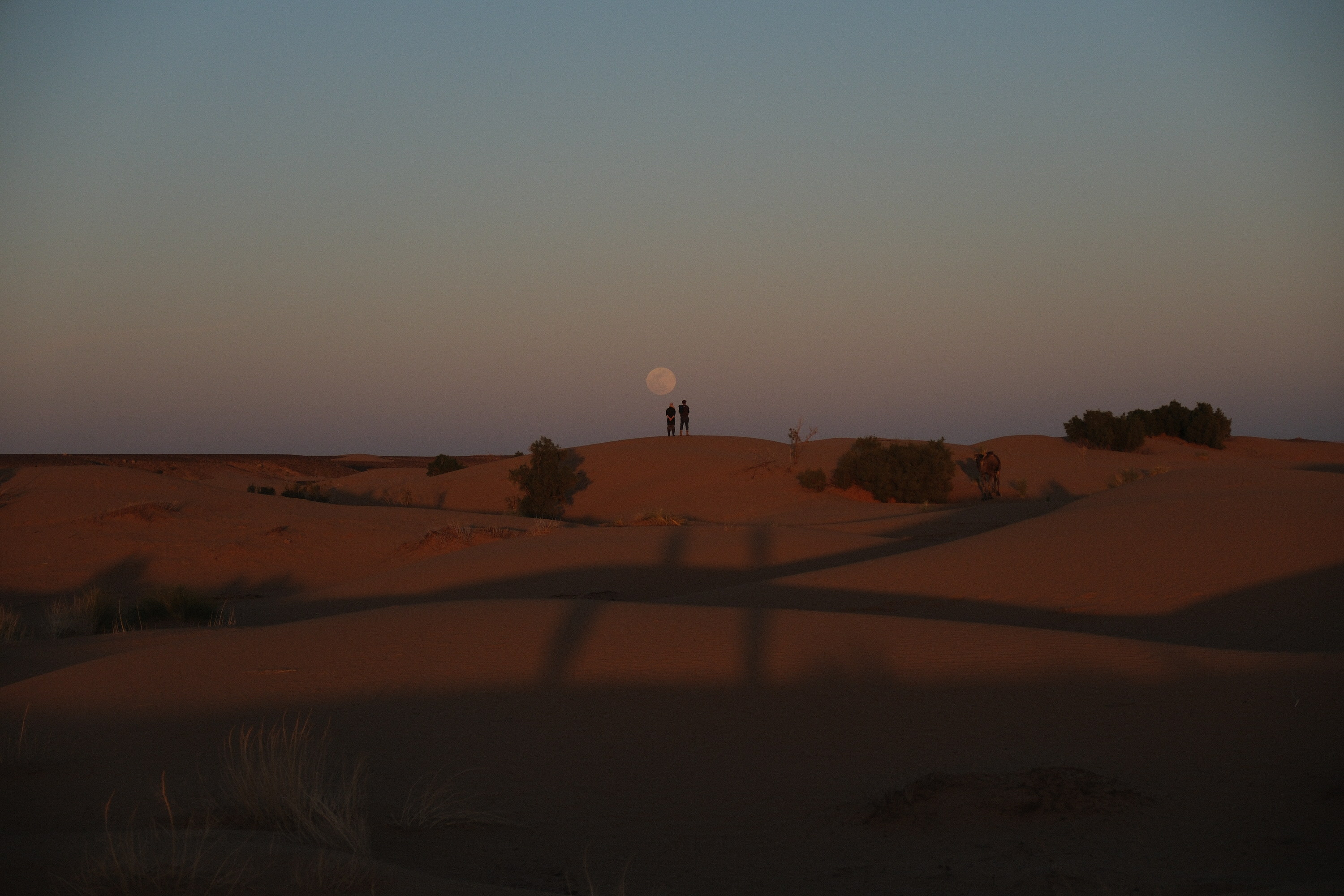 Two figures silhouetted on a dune ridge at moonrise