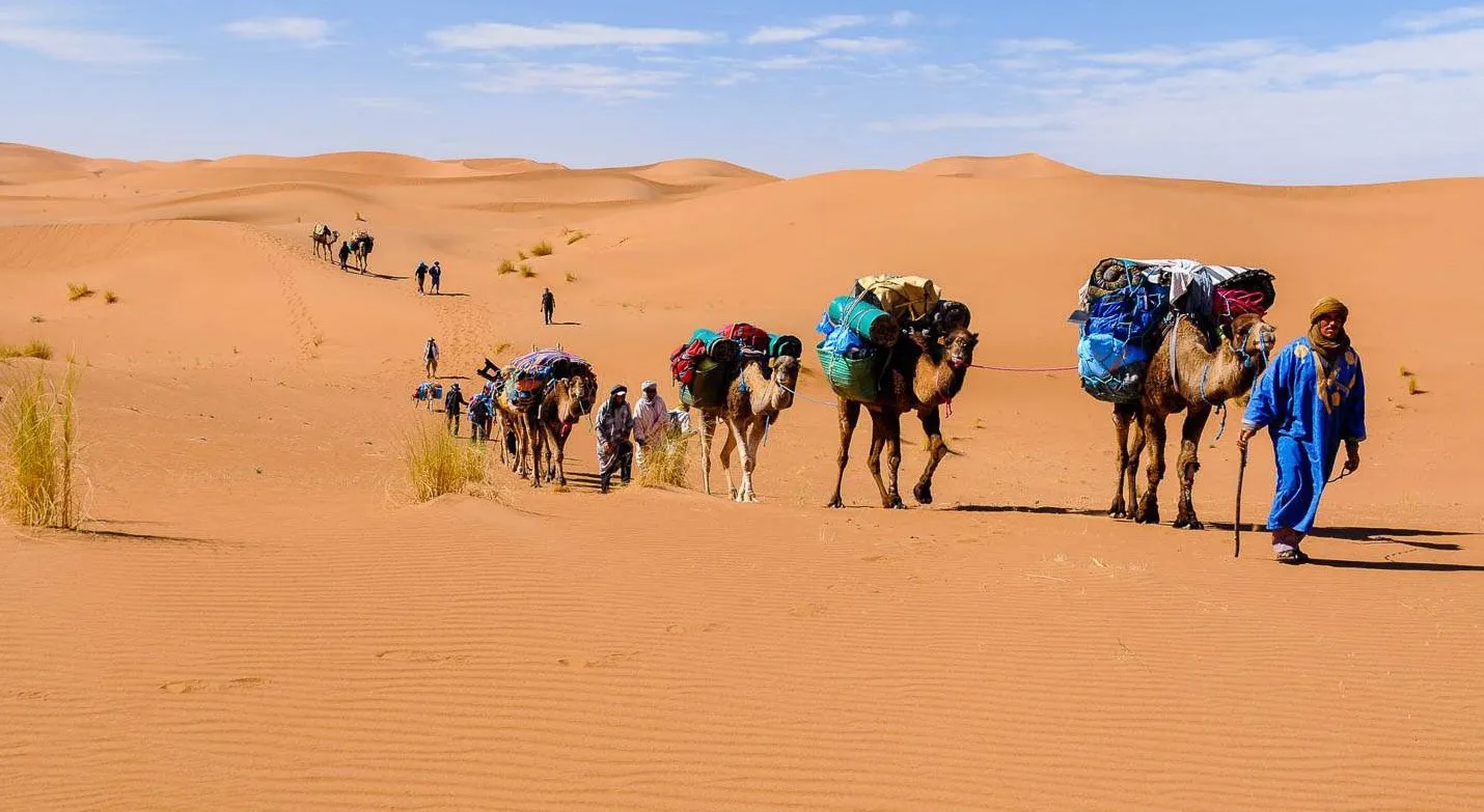 Loaded camel caravan crossing the desert with its guide