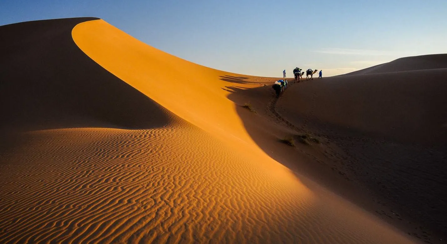 Walkers crossing the sunlit ridge of a high dune
