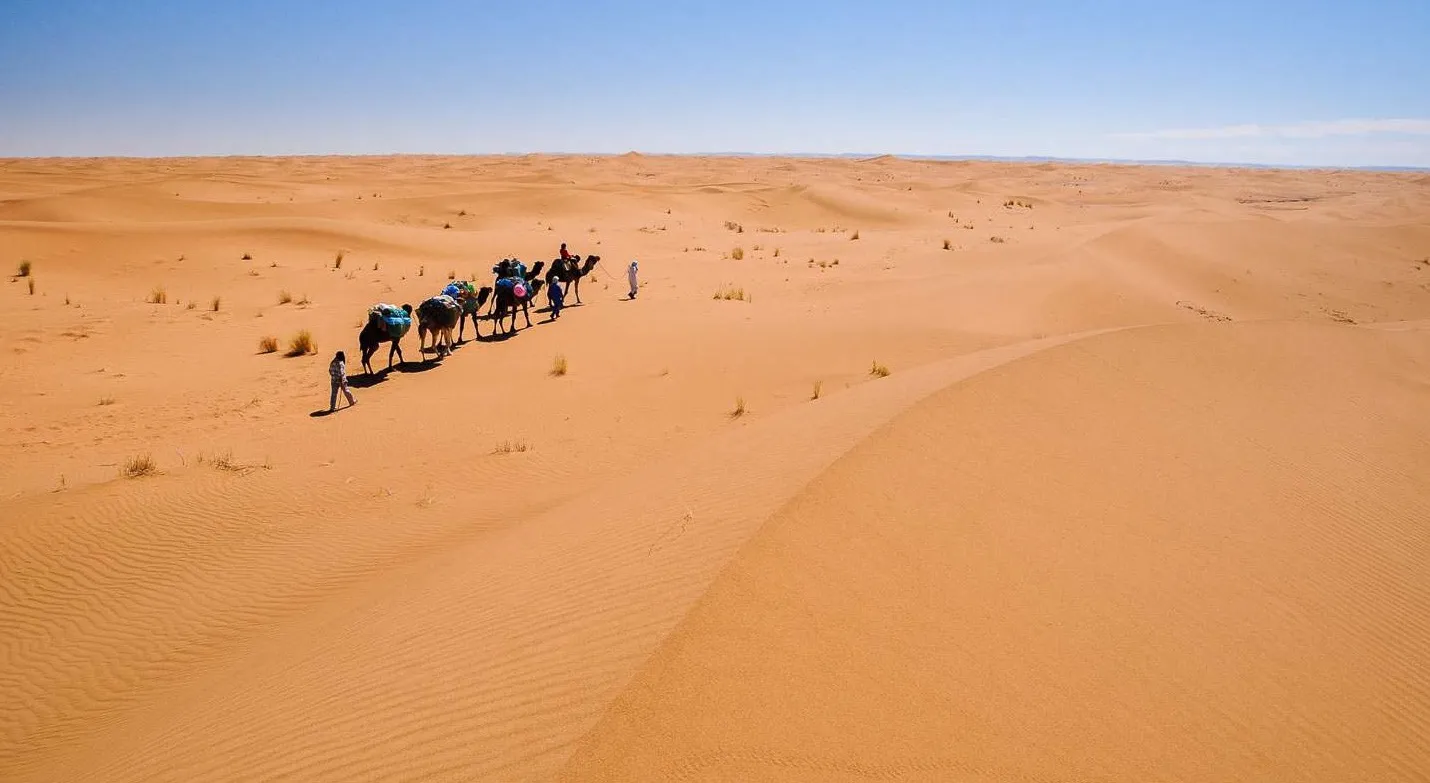 Camel caravan moving through a wide field of sand